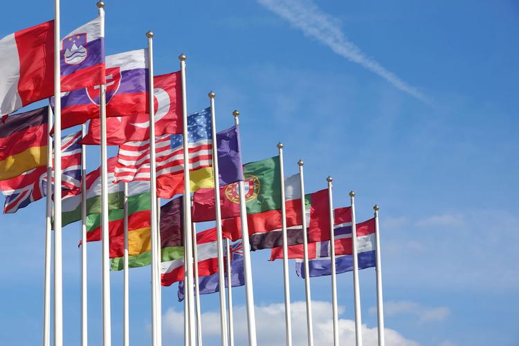 Specialization Certificate in Political Regime and Democratic Transition