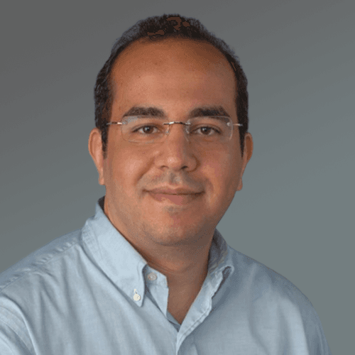 Ahmed Abdel Meguid's profile